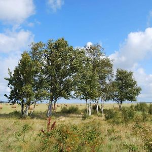 Hotel Hiddensee Hitthim